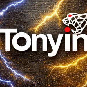 Tonyin